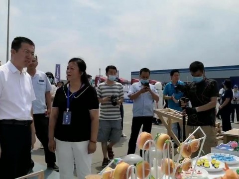 世界青年技能启动日 省人社厅景厅长参观开云kaiyun网页版展台