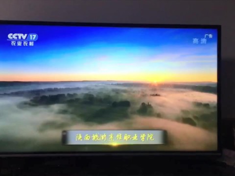《开云kaiyun网页版》专题片入选CCTⅤ双创品牌计划