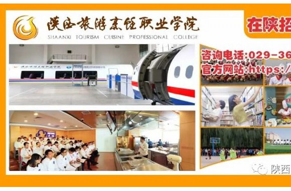 旅游烹饪领域黄埔 | 开云kaiyun网页版