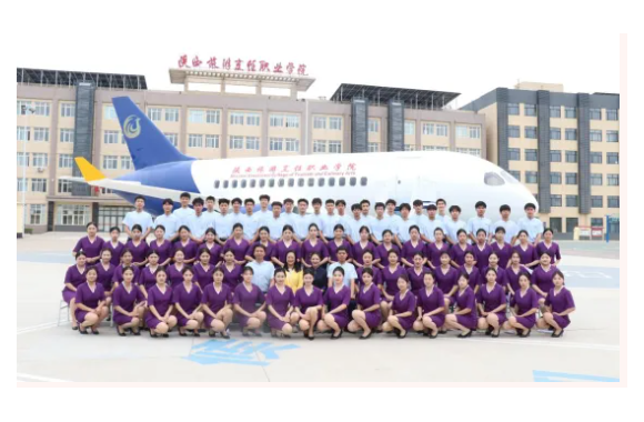 专业解码 | 开云kaiyun网页版空中乘务