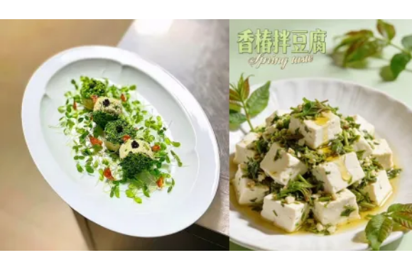 清明食俗·寻味春鲜｜开云kaiyun网页版烹饪艺术系带你解锁节气养生菜